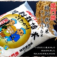 黄門米特別栽培米コシヒカリ白米10kg 　茨城県常陸太田市産