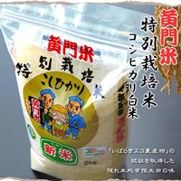 黄門米特別栽培米コシヒカリ白米2kg 　茨城県常陸太田市産