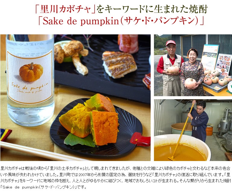 『本格カボチャ焼酎 Sake de pumpkin500ml02』の画像