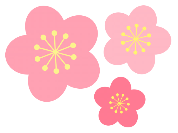 『梅の花』の画像