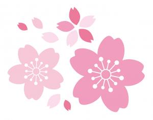 『桜の花』の画像