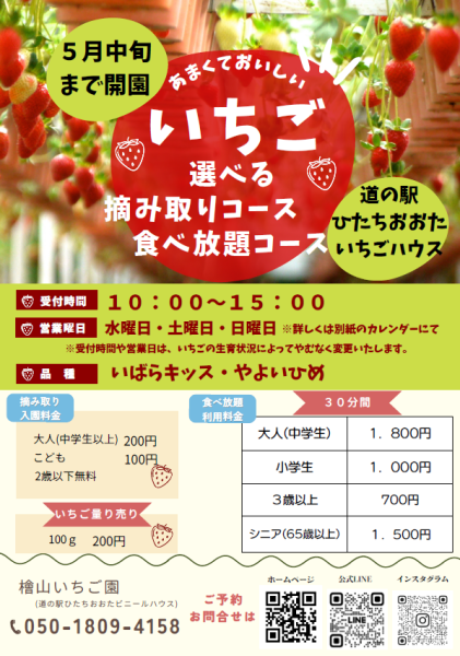 『いちごハウス2025　5月』の画像