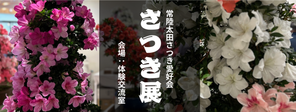 『さつき展2025』の画像